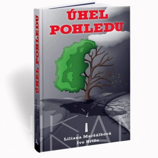 Kniha - Úhel pohledu